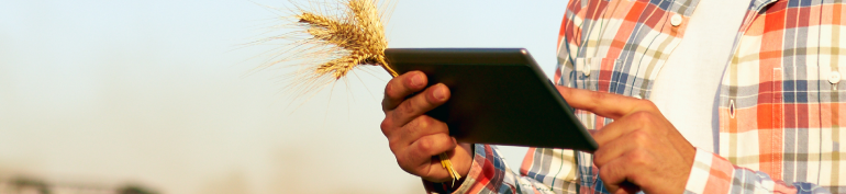 Farmer using digital technology in cereals field